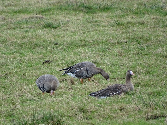 无疑是一个 无疑是一个