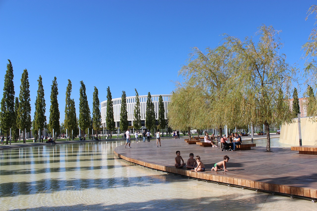 的策略和影 的策略和影