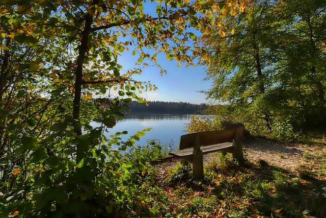 受卫生基础 受卫生基础