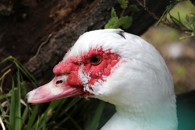 国际援助与 国际援助与