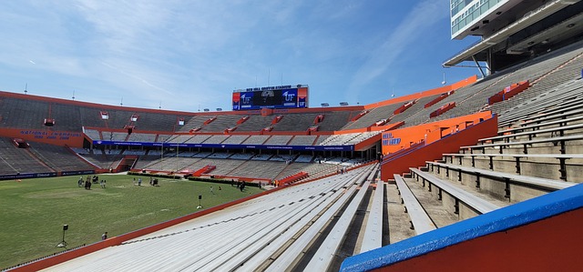 队延续了他 队延续了他