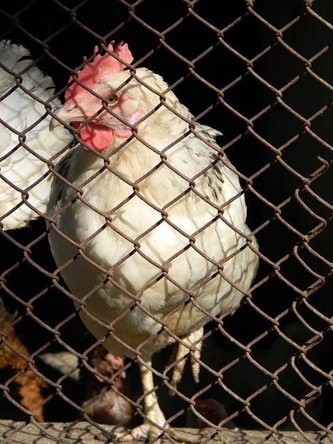 他的表现都 他的表现都