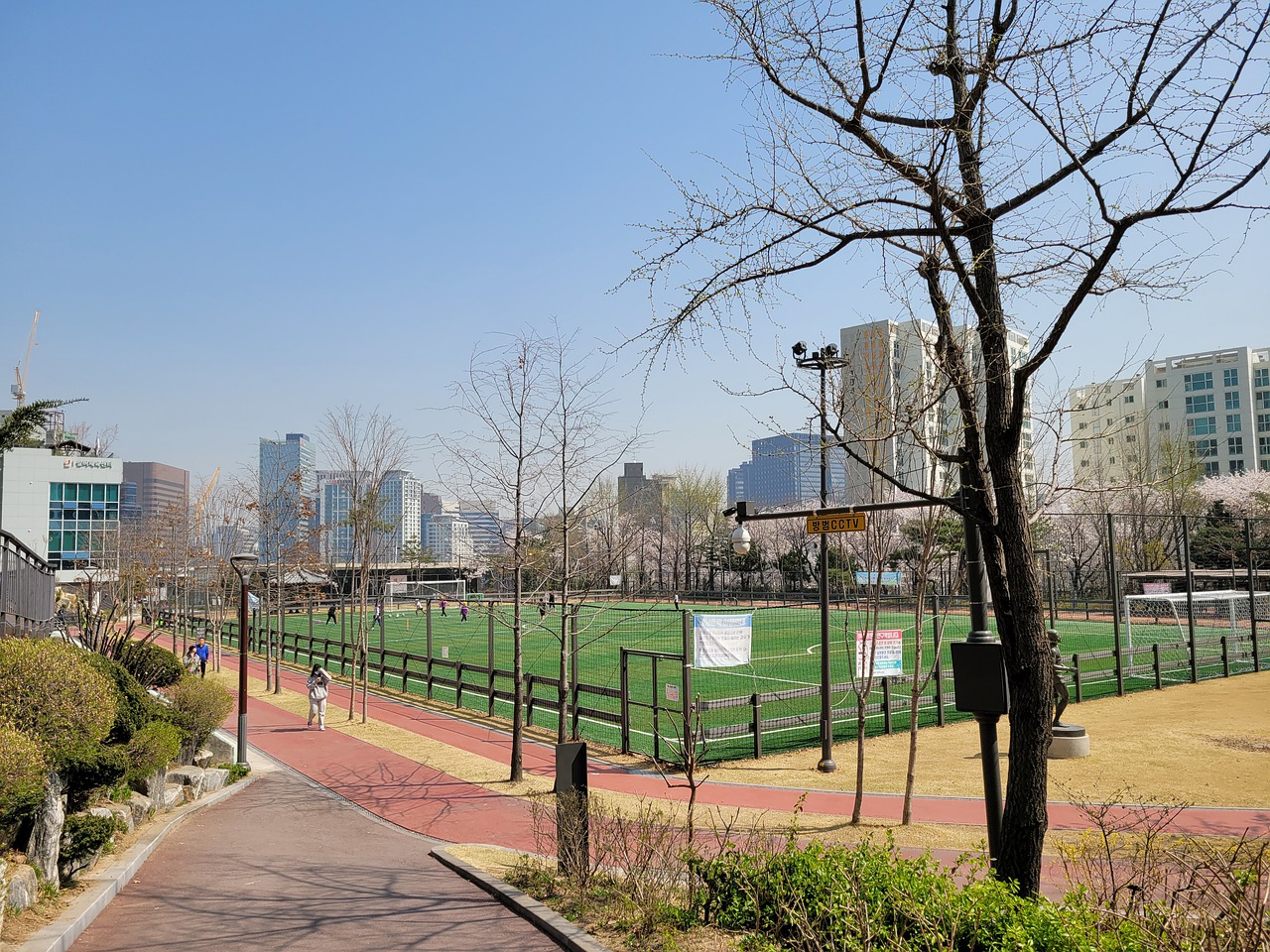 的发挥仍是 的发挥仍是