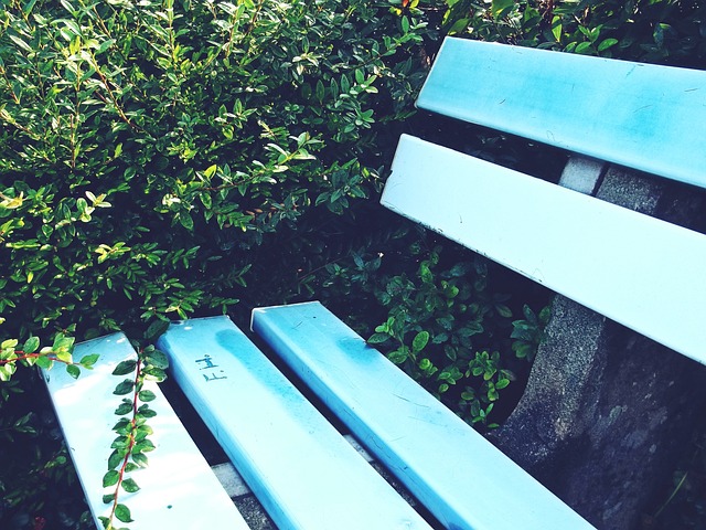 团队的力量 团队的力量