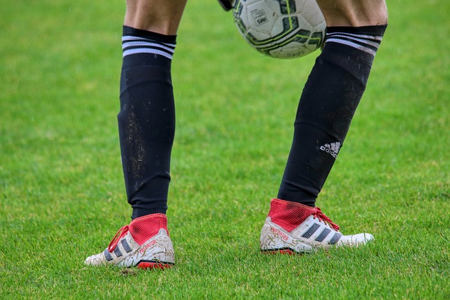 更展现了 更展现了