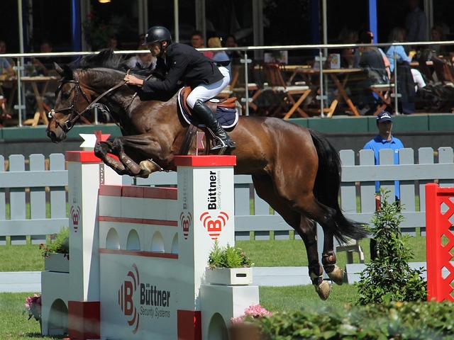 疑是此赛季 疑是此赛季